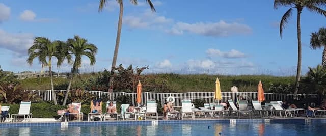 Resort swimming pool with loungers, umbrellas, and palm trees, guests swimming and sunbathing under blue sky